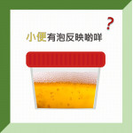 小便有泡可反映啲咩?