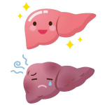 選擇做脂肪肝的敵人